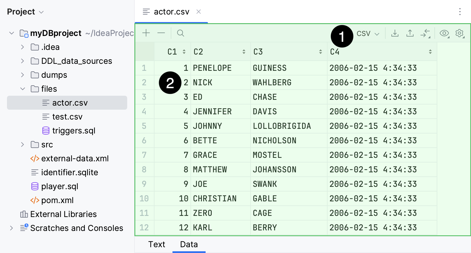 Data editor tab in a delimiter-separated values file editor