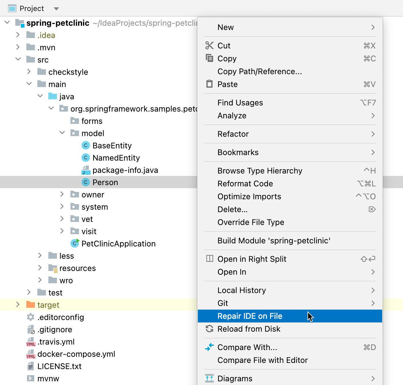 修复文件上的 IDE