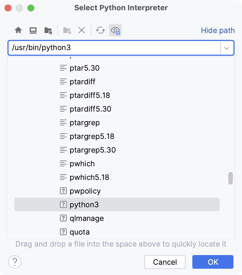 选择 Python 可执行文件