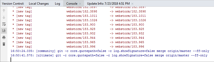 Verison Control 工具窗口的 Console 选项卡